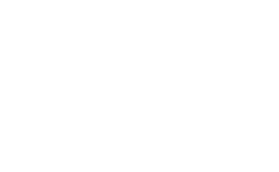 BV Investments Logo